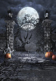 Allenjoy Halloween Scary Gate  Photography Backdrop GBSX-00165