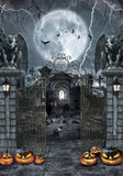 Allenjoy Halloween Scary Gate  Photography Backdrop GBSX-00167