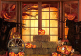 Allenjoy Halloween Window Photography Backdrop GBSX-00168