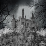 Allenjoy Horror Halloween Castle Photography Backdrop Gbsx-00663