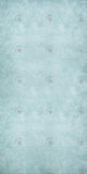 Allenjoy Light Blue Frozen Texture Photography Backdrop Gbsx-00279