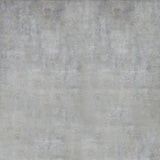 Allenjoy Light Grey Concrete  Abstract Texture Photography Backdrop Gbsx-00285