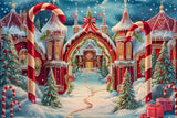 Allenjoy North Pole Archway Photography Backdrop GBSX-00157