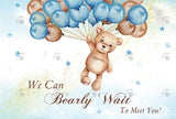 Allenjoy Teddy Bear Baby Shower Backdrop