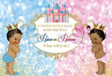 Allenjoy Prince Or Princess Gender Reveal Backdrop