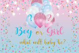 Allenjoy Glitter Boy Or Girl Gender Reveal Backdrop