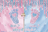 Allenjoy Glitter Gender Reveal Backdrop