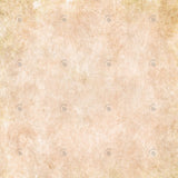 Allenjoy Old Beige Texture Photography Backdrop Gbsx-00291