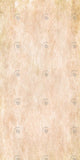 Allenjoy Old Beige Texture Photography Backdrop Gbsx-00291