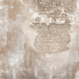 Allenjoy Old Grunge Brick Wall Texture  Photography Backdrop Gbsx-00293