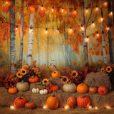 Allenjoy Orange You A Pumpkin Photography Backdrop Gbsx-00434