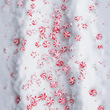 Peppermint Path Floor Photography Backdrop GBSX-99842