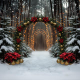 Poinesttia Pine Arch Photography Backdrop GBSX-99866