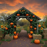 Allenjoy Pumpkin House Photography Backdrop Gbsx-00303