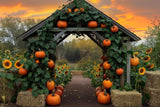 Allenjoy Pumpkin House Photography Backdrop Gbsx-00303