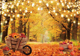 Autumn Forest Photography Backdrop