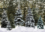 Christmas Winter Snowfield Photography Backdrop