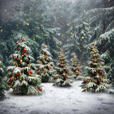 Allenjoy Santa Village Forest Photography Backdrop GBSX-00021
