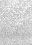 Allenjoy Silver Bokeh Spots Photography Backdrop Gbsx-00487