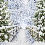 Allenjoy Snowy Bridge Photography Backdrop Gbsx-00598