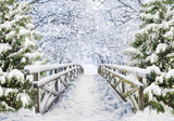 Allenjoy Snowy Bridge Photography Backdrop Gbsx-00598