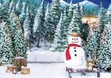 Allenjoy Snowy Forest Snowman Photography Backdrop Gbsx-00689