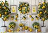 Summer Lemon Photography Backdrop GBSX-99926