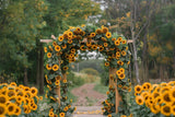 Allenjoy Sunflower Arch Photography Backdrop Gbsx-00648