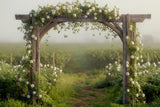 Allenjoy Sweetheart Breeze Arch Photography Backdrop GBSX-00011