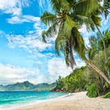 Allenjoy Tropical Beach With Palm Photography Backdrop Gbsx-00396