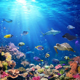 Allenjoy Under The Sea Photography Backdrop Gbsx-00350