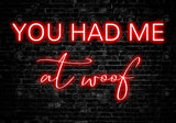 Allenjoy Valentine Pet You Had Me At Woof Photography Backdrop Gbsx-01293