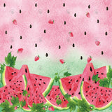 Watermelon Fruit Photography Backdrop GBSX-99956