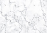 White Marble Photography Backdrop GBSX-99966