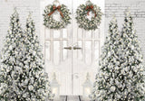 Allenjoy White Winter Barn Door Photography Backdrop GBSX-00045