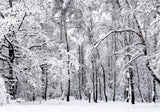 Allenjoy White Winter Forest Photography Backdrop Gbsx-00827