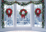 Allenjoy White Winter Wonderland Window Photography Backdrop Gbsx-01081