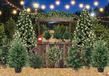 Allenjoy Winter Backyard Tree Farm Photography Backdrop Gbsx-00599