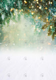 Allenjoy Winter Branches Photography Backdrop Gbsx-00824