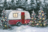 Winter Cozy Camper Photography Backdrop GBSX-99978