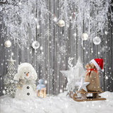 Winter Rustic Wood Photography Backdrop GBSX-99990