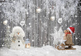 Winter Rustic Wood Photography Backdrop GBSX-99990