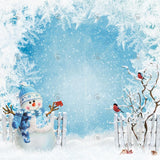 Allenjoy Winter Snowman Photography Backdrop Gbsx-00681