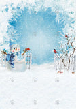 Allenjoy Winter Snowman Photography Backdrop Gbsx-00681