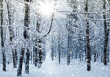 Allenjoy Winter Snowy Forest Photography Backdrop Gbsx-00724