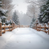 Allenjoy Winter Snowy Path Photography Backdrop Gbsx-01050