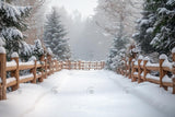 Allenjoy Winter Snowy Path Photography Backdrop Gbsx-01050