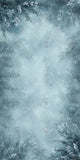 Allenjoy Winter Snowy Spruce Art Photography Backdrop Gbsx-01213