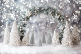 Winter White Arch Wall Photography Backdrop GBSX-99992