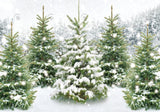 Allenjoy Winter Wonderland Forest Photography Backdrop Gbsx-00596